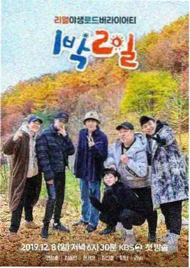 我们恋爱吧